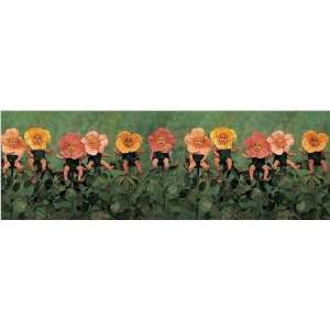 Wild Roses by Anne Geddes Poster Print, 35.5x11.75 