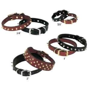  Spikes Black Collar Single Ply 3/4 x 13 by Weaver Pet 