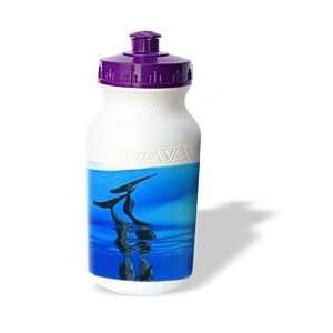   spotted dolphins. The Bahamas   Water Bottles