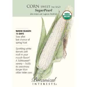  SugarPearl White Corn Seeds   5 grams   Organic Patio 