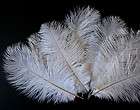 16 Grade B 10 12 White Ostrich Drab Plume Feathers Wedding Decoration 