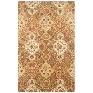  Rizzy Rugs Destiny DT 1024 Brown Traditional 5 X 8 Area 