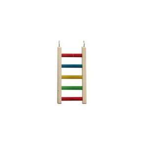  Caitec Parrot Rainbow Ladder 12 inch