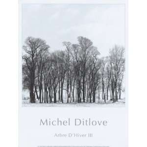  Arbres DHivers III   Poster by Michel Ditlove (11.75x15 