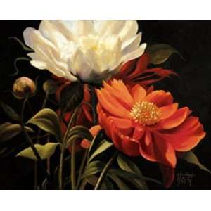  Red Peony   Poster by Diann Haist (30x24)