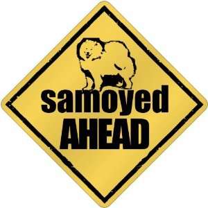  New  Samoyed Bites Ahead   Crossing Dog