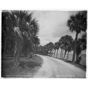    Road to Cocoa along Indian River,Rockledge,Fla.