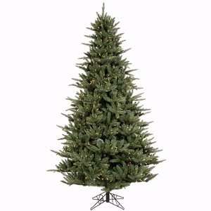  10 x 70 Catalina Frasier Fir Christmas Tree w/ 4097T 