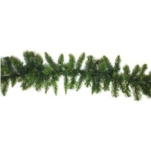   Fir 50 Clear Lights 170 Tips, 9 Foot by 10 Inch