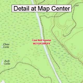  USGS Topographic Quadrangle Map   Cow Hell Swamp, Georgia 