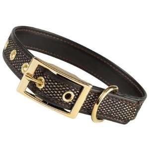  Zack & Zoey Faux Leather Brown & Gold Metallic Mesh Dog 
