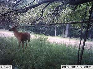 Ohio Deer Hunt  