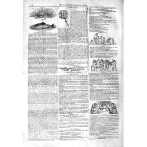  1842 ANGLING FISHING GRAYLING LONDON GAZETTE OLD PRINT 