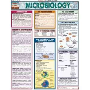  Microbiology, Laminated Guide
