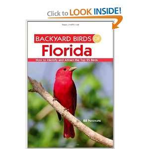  Backyard Birds of Florida How to Identify and Attract the 