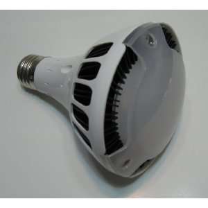  PAR30 LED light bulb, 12W, Warm White Light, 120° Beam 