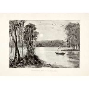  1902 Print Sailboat Firefly Purus River El Matto Grosso Brazil 