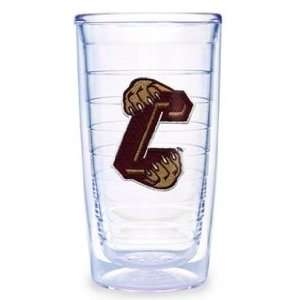    College of Charleston Insulated Tumblers 2 pack