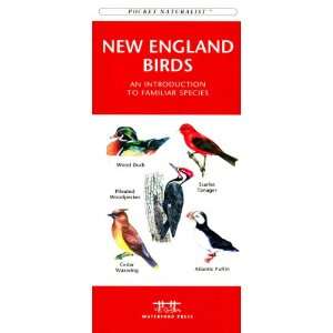  Waterford New England Birds Patio, Lawn & Garden