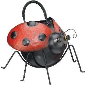  Ladybug Beetle Watering Can Decorative Yard Art Patio 