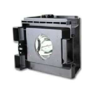  Electrified Replacement Lamp with Housing for HL R5668W 