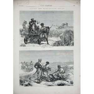  1872 India Antelope Hunting Cheetah Sport Cart Country 