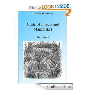  Nests of Insects and Mammal I Illustrated (Curious Homes 