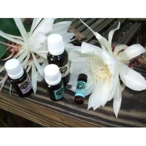  MZ 2012 SHIFT Oil / Pure Essential Oils 4ml Everything 
