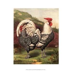  Cassells Roosters III by Cassell 10x13