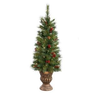   Pine Potted 50 Clear Lights Christmas Tree (B116241)