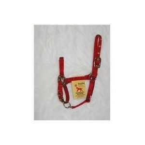   Category Equine Tack & Other EquipmentHALTERS & LEADS NYLON) Pet