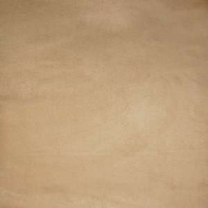    90666 Parchment by Greenhouse Design Fabric