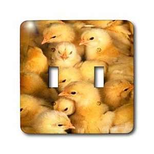  Farm Animals   Baby Chicks   Light Switch Covers   double 