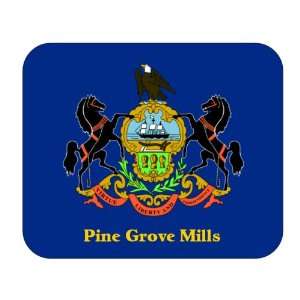  US State Flag   Pine Grove Mills, Pennsylvania (PA) Mouse 