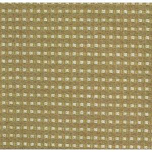  2169 Matrix in Sand by Pindler Fabric