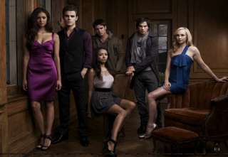 The Vampire Diaries Group Shot Cast New Silk Poster 32  