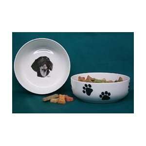  Dachshund Dog Bowl