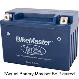  Bikemaster TruGel Battery YTX14L BS/MG14L BS Automotive