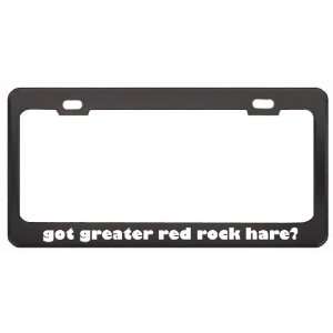  Greater Red Rock Hare? Animals Pets Black Metal License Plate Frame 