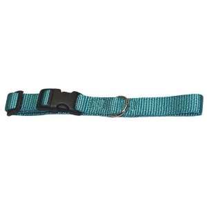   Collars Teal Large   1 wide and fits 18 to 26