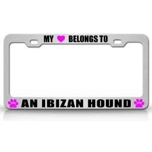 MY HEART BELONGS TO A IBIZAN HOUND Dog Pet Steel Metal Auto License 