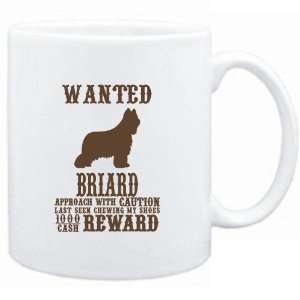   White  Wanted Briard   $1000 Cash Reward  Dogs