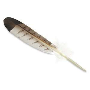    Feather   Imitation Red tailed Hawk   Wing
