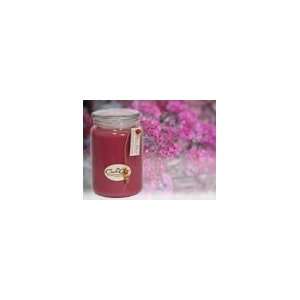   Blood Scented Natural Soy Jar Candle 