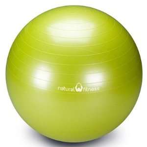   Professional Burst Resistant Exercise Ball in Moss Toys & Games