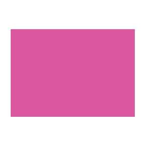  Erengi Art Aspirer Oil Pastel   Box of 12   Magenta Pink 