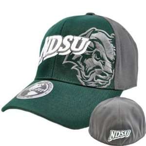  NCAA NDSU North Dakota State Bison Top of World Green Gray 