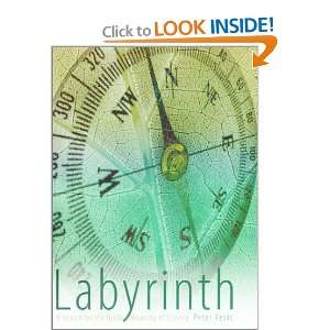  Labyrinth A Search for the Hidden Meaning of Science 