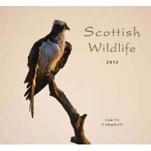  Scottish Wildlife 2012 Wall Calendar