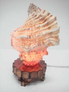 GIANT TRITON SEA SHELL TABLE NIGHT LAMP #7476  